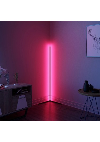 Minimal Rgb LED Köşe Lambader,radyo Frekans Kumandalı