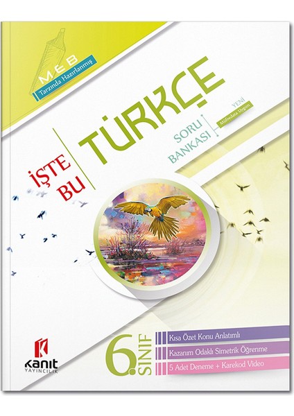 Kanıt Yayıncılık 6. Sınıf İşte Bu Türkçe Soru Bankası