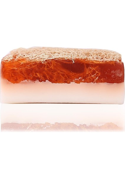 Doğal At Kılı Yüz Bakım Fırçası ve Kabak Lifli Ballı Eşek Sütlü Sabun Seti indirimleri