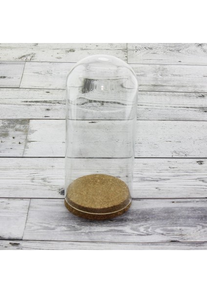 Cam Tüp Fanus Terrarium Şişe 20 x 9 cm fiyatları