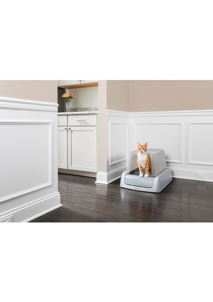 Pet Safe Petsafe Scoopfree Yeni Nesil Otomatik Kapaklı Kedi Tuvaleti PAL19-17125