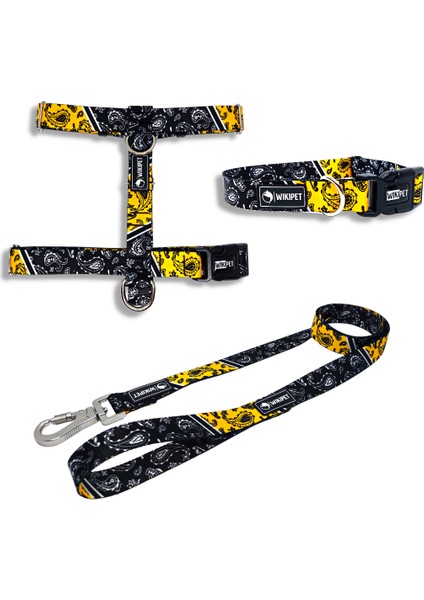Coachella Köpek Tasma Seti Xsmall