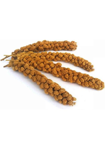 Tüm Kuşlar Için Doğal Dal Darı 5'li 120 gr x 3