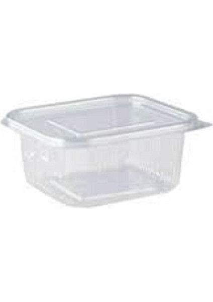 Sızdırmaz Plastik Kap Düz Kapak Kare 500 cc 100'lü