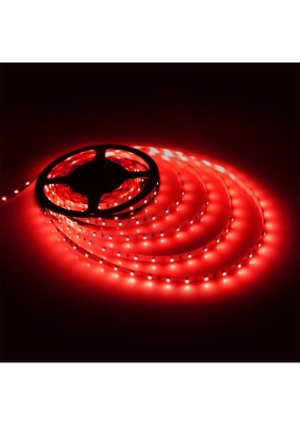 Şerit LED 12 V Iç Mekan Kırmızı 3 Çipli Bolled (5 Mt)