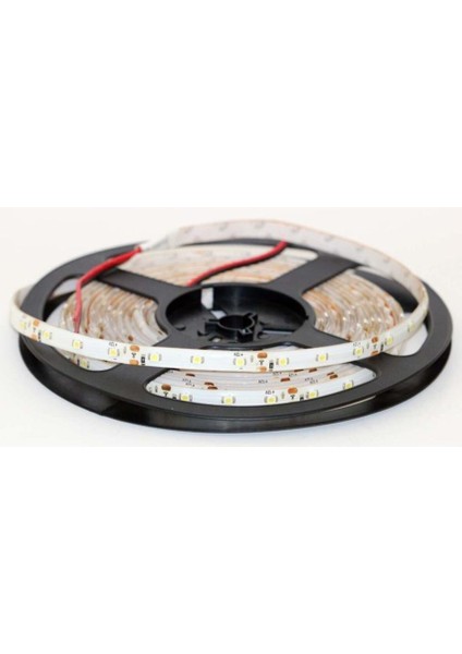 Şerit LED 12 V Iç Mekan Kırmızı 3 Çipli Bolled (5 Mt)