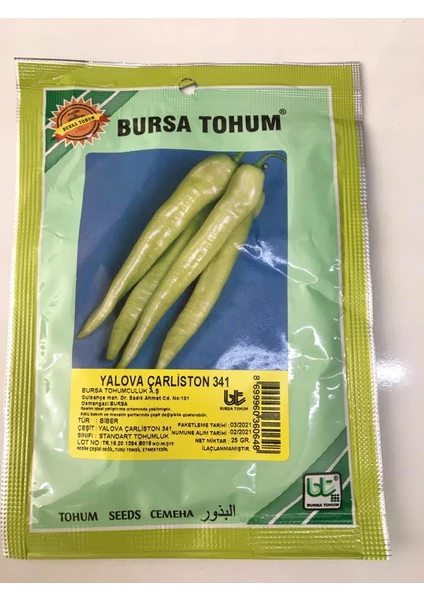 Bursa Tohum Bursa Yalova Çarliston Biber Tohumu