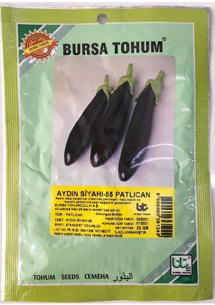 Bursa Tohum Bursa Aydın Siyahı Patlıcan Tohumu