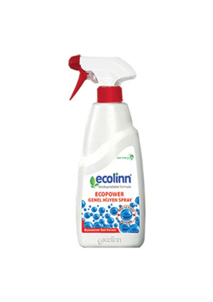 Ecopower Genel Hijyen Spray 650 ml