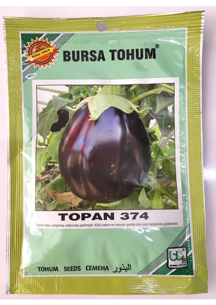 - Topan Patlıcan Tohumu