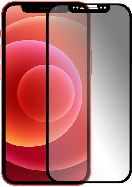 3D Matte Apple iPhone 12 Mını Cam Ekran Koruyucu