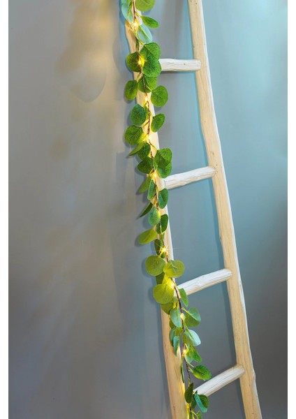 Okaliptus LED Işıklı Garland