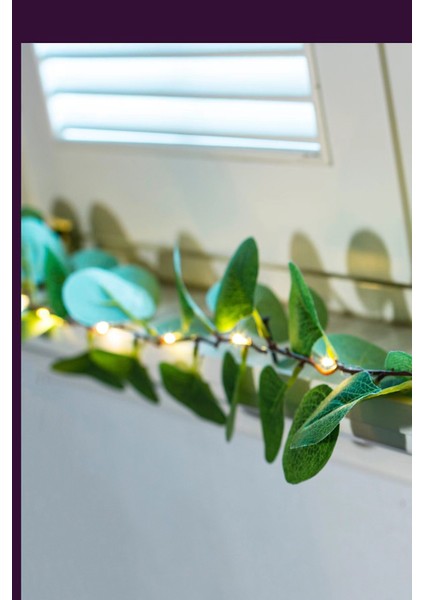 Okaliptus LED Işıklı Garland