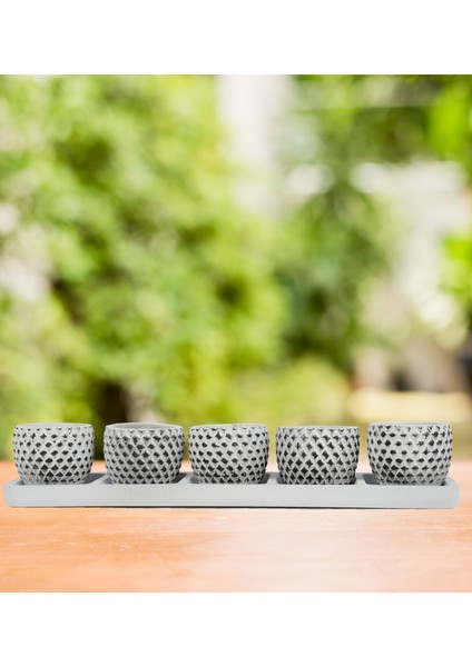 Sümer Fiyu Beyaz Siyah 5'li Saksı Seti