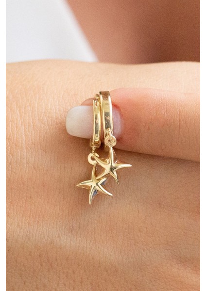 Altın Deniz Yıldızlı Küpe fiyatları