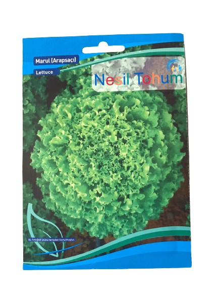 Marul (Arapsaçı) Atalık Tohum 3 Paket