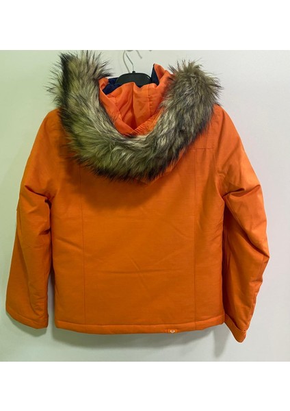 Sergtj 03130 Celosia Orange fiyatları