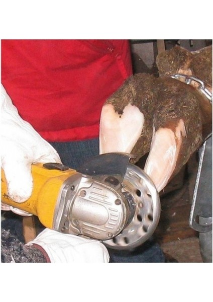 6 Bıçaklı Tırnak Diski fiyatları