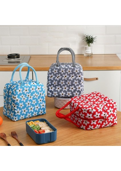 Taşınabilir Soğutucu Termal Öğle Yemeği Çantası (Yurt Dışından) fiyatları