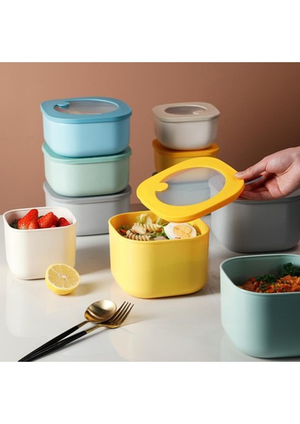 Silikon Taşınabilir Öğle Yemeği Kutusu (Yurt Dışından) fiyatları