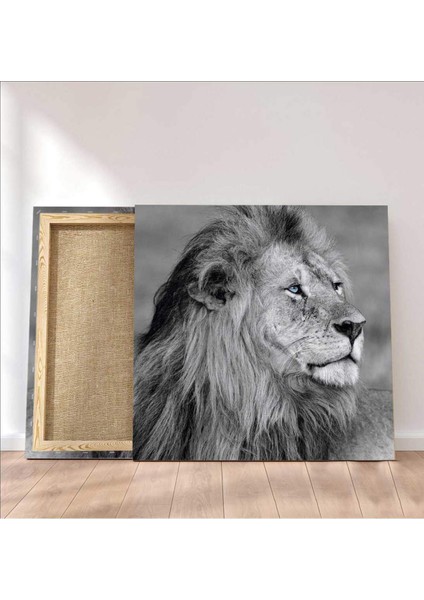 Aslan Kanvas Tablo fiyatları