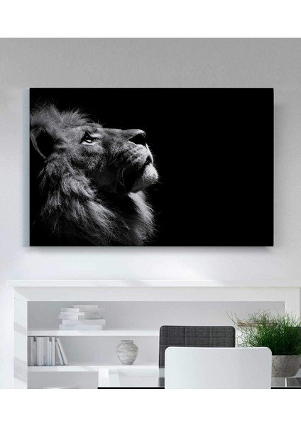 Aslan Kanvas Tablo