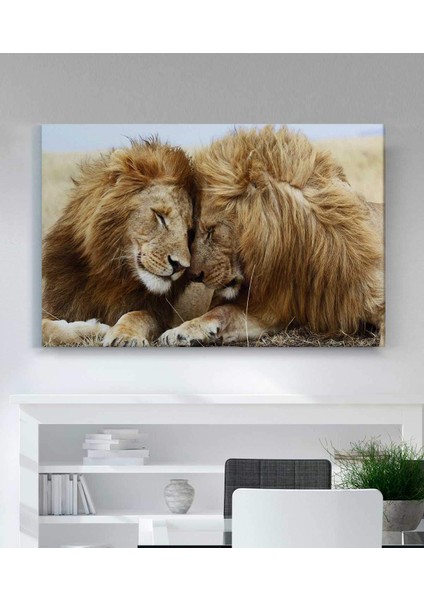 Aslan Kanvas Tablo