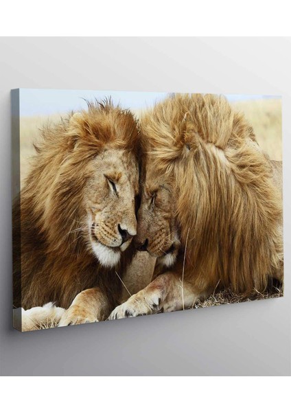 Aslan Kanvas Tablo fiyatları