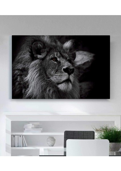Aslan Kanvas Tablo