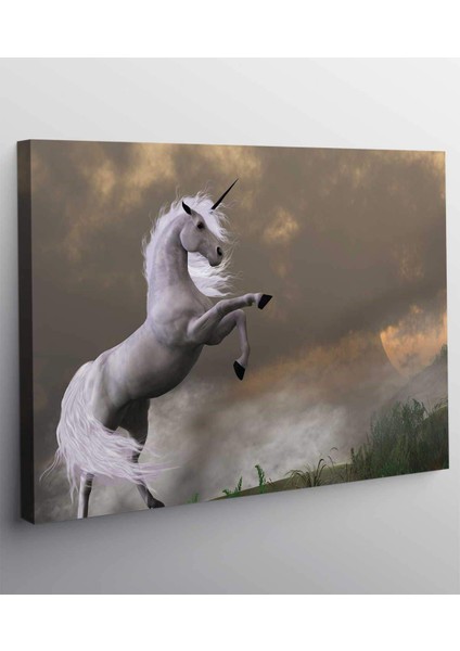 Beyaz At Kanvas Tablo fiyatları