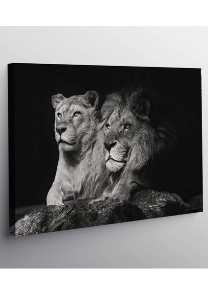 Aslan Kanvas Tablo fiyatları