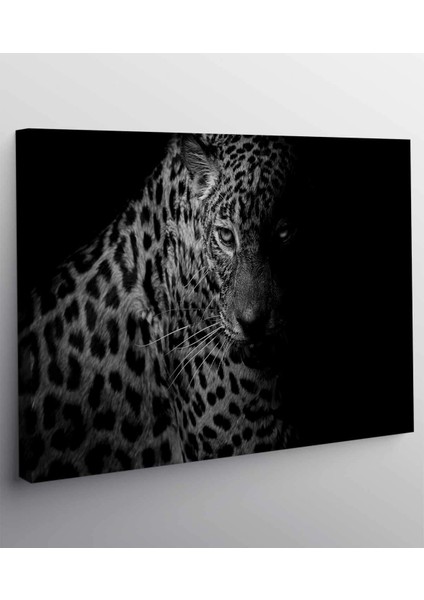 Leopar Kanvas Tablo fiyatları
