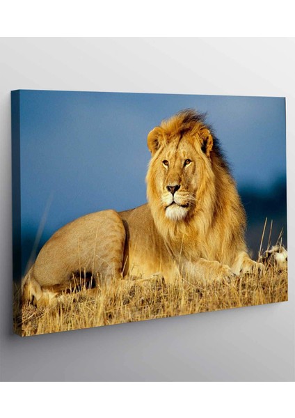 Aslan Kanvas Tablo fiyatları
