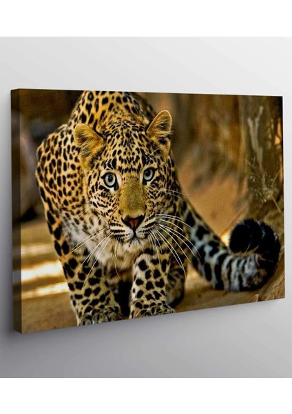 Leopar Kanvas Tablo fiyatları