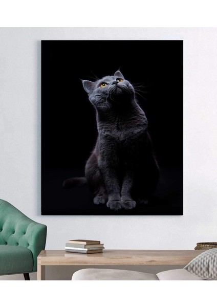Kedi Kanvas Tablo