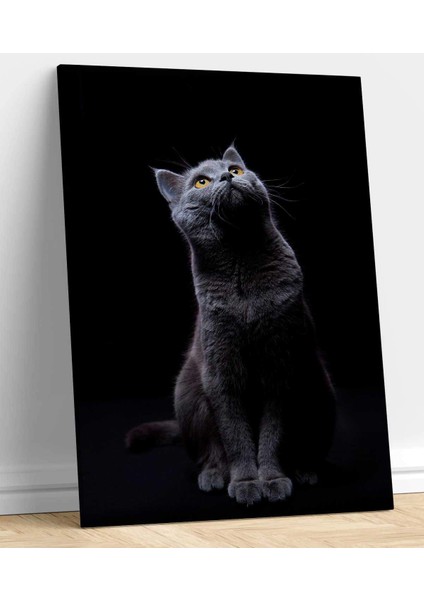 Kedi Kanvas Tablo fiyatları