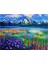 Baharın Müjdesi Sayılarla Boyama Seti 40 x 50 cm Tuval Şasesine Gerili) 1