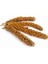 Tüm Kuşlar Için Doğal Dal Darı 5'li 120 gr x 3 2
