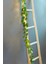 Okaliptus LED Işıklı Garland 2