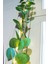 Okaliptus LED Işıklı Garland 4