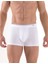 Tender Cotton 3lü Erkek Shorty 9670 1