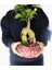 Flower - Ficus Ginseng Bonsai & Kırmızı Vane Beton Saksıda Hediyelik Canlı Çiçek 2