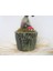 Flower - Ficus Ginseng Bonsai & Odunsu Muds Beton Saksıda Hediyelik Canlı Çiçek 3