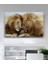 Aslan Kanvas Tablo 1