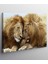 Aslan Kanvas Tablo 2