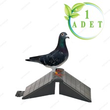 Mutlu Tavukçuluk Tünek Güvercin Kumru Kuş Tüneği