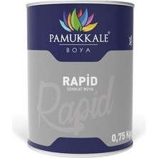 Pamukkale Rapid Boya 0.75 kg Antrasit Gri