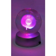 herkesetoptantic Karahindiba Kristal Cam Küre Işıklı