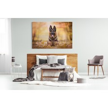 MonoStella Köpek Resimi- Kanvas Tablo