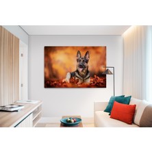 MonoStella Köpek Resimi- Kanvas Tablo
